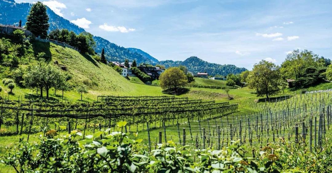 Ferienwohnung Graubunden 보나두츠 외부 사진
